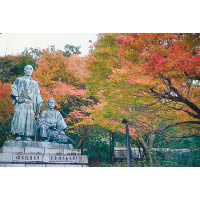 圓山公園跟北海道神宮是札幌的賞紅葉著名地點。