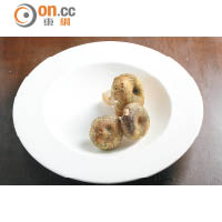 青頭菌<br>青BB加上頭大身小，因而取名為青頭菌。雖然菇味較為淡口，但口感爽脆而且耐煮，可以炮製成各式菜餚。