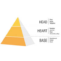 香水前調、中調、基調的香味類型和留香時間，可用Fragrance Pyramid來顯示。