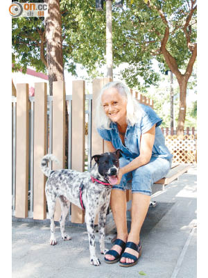 阿拉丁自小由「香港救狗之家」創辦人Sally照顧，把她當成媽媽，非常黐身！
