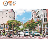 沖繩那霸市的國際大街，有齊百貨公司及特色食肆等消費好去處。