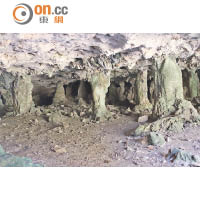 筍形石頭在洞內隨處可見。