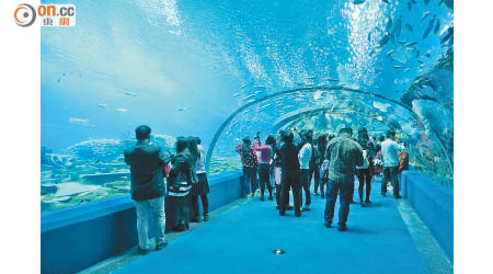 海洋奇觀飼養了逾15,000條不同品種的魚類，更是中國擁有最多魔鬼魚的水族館。