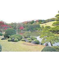 萬博記念公園內有個十分漂亮的日本庭園，12月初到訪正是紅葉最漂亮之時。