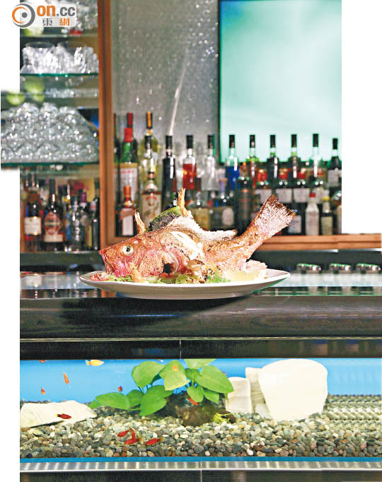 魚鮮徜徉 海洋風酒吧