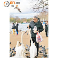 海德公園湖畔滿是水鴨和天鵝，充滿生氣。