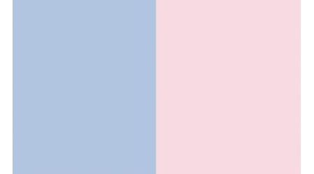 2016年的年度顏色將會為Serenity寧靜粉藍(左)及Rose Quartz玫瑰石英粉紅（右）。