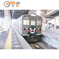 於上年登場的「Kumamon列車」，車身內外都被有趣的熊樣圖案包圍。