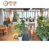 咖啡店每層都有不同的布置，例如3樓便散發着綠意。