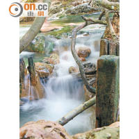 泉水隨岩石流下，形成水力較強的小瀑布。