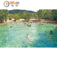  Emerald Pool是保護區內唯一容許遊人落水暢泳的湖泊。