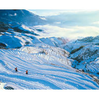 桂林龍脊梯田冬季下的景色如置身《魔雪奇緣》場景中。