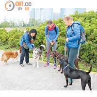 讓愛犬跟其他狗狗交流，有助紓緩牠的情緒。