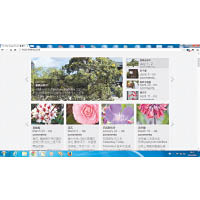 網站是了解香港樹木狀況的其一途徑，如The Green Touch香港常見樹木園藝生活（查詢網址：www.treehk.com/）。