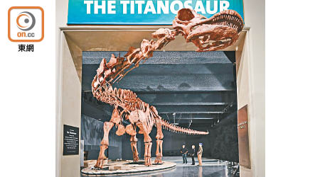 位於紐約的美國自然史博物館（American Museum of Natural History）剛於上個月展出世界最大的恐龍骨模型。