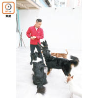 狗隻訓練員阿佳十分熱心，得悉Dog Cheers提供暫養服務，即主動聯絡Chris，為狗BB提供義務訓練。