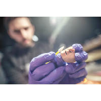 人偶是以3D打印技術製成，皮膚的質感十分精細。