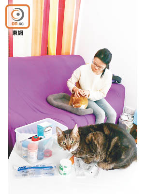 已有十多年獸醫護士經驗的Chrisy，跟朋友合辦「Professional Vet Nurse Home Care」，為有需要的寵物提供上門護理服務。