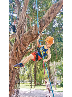 攀樹、游繩、划艇等是較常見的歷奇活動，可讓參加者獲得全新的體驗。