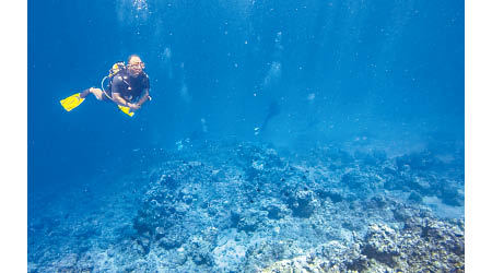 毛里裘斯被譽為潛水天堂，大藍天配亮晶晶的海水，加上海洋生物品種繁多，是不少潛水發燒友夢寐以求的聖地！