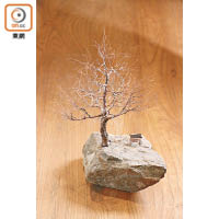設計師Joe Li以收集得來的樹枝加工，打造了這件藝術擺設。 $18,000