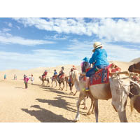 考察隊有機會騎駱駝欣賞沙漠風光。