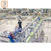 工場的生產線已很機械化，只有小量工序保留人手勞操作。