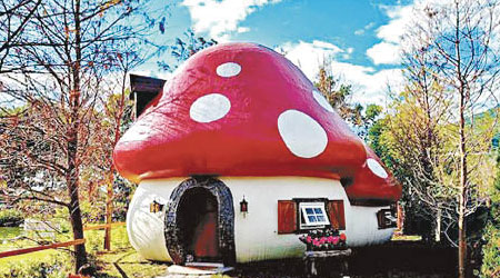 紅色白點的蘑菇屋，會令你想起藍精靈，還是白雪公主？