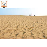 清晨的砂丘最美，風吹留下的沙紋最為完整漂亮。