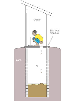 https://commons.wikimedia.org/wiki/File:Defecating_into_a_pit_(schematic).jpg