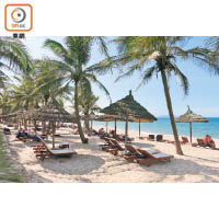 依海灘而建的Palm Garden Resort，是會安少有的5星級酒店。