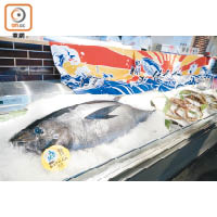 原條吞拿魚最少重60公斤，師傅預計會隔晚舉行解體Show，少點氣力也抬不起來呢！