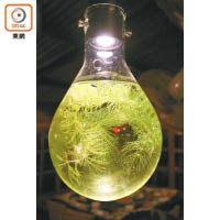 連裝飾餐廳用的燈泡，也帶有綠色概念的心思。