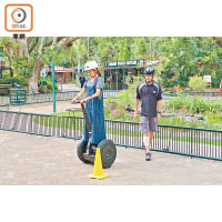 園內有Segway Safari Tour，頭10分鐘教學，之後40分鐘由教練帶住你遊花園，費用AU$45（約HK265.5）。