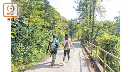 遠足初哥宜選擇路面較寬闊的行山徑。