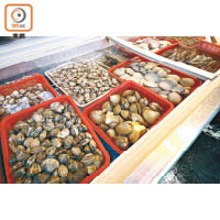 貝殼類海產須完全熟透才可進食。