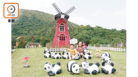 紅色風車前，放置了多件熊貓擺設，又一自拍靚景。