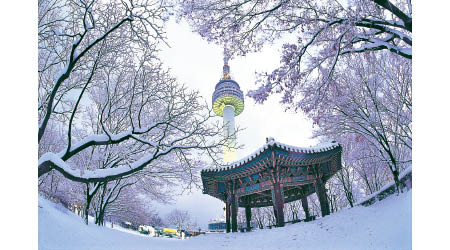 今個冬天，星晨旅遊推出多款最新、最潮的行程，包括近日大熱的聖誕英超睇波團、日本韓國滑雪團、郵輪海上假期等。