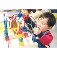 除了耍樂外，玩具亦具很多功能性用途，如鍛煉小肌肉、手眼協調等。