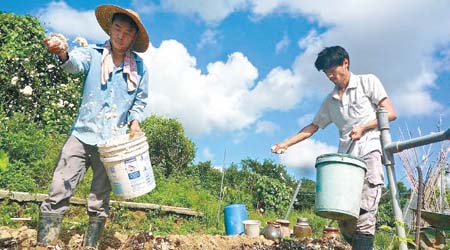 工作坊包括下田工作，建議參加者自備水鞋及穿長袖衫褲防曬防蚊。