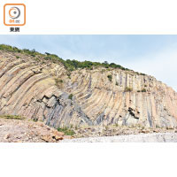 你見過S形岩柱嗎？原來這些岩石是受地震和區域性下沉影響，才被扭曲成S形。