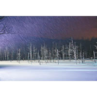 入夜後青池燈光逐漸亮起，鋪滿粉雪的池面反射出柔和的光芒。