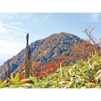 高1,765米的雞頂山天然景色豐富，入秋時紅葉處處更見吸引。