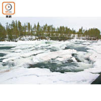 冬日的Pite River，雖然大半的河面結了冰，但奔騰流水聲勢一樣震撼人心。