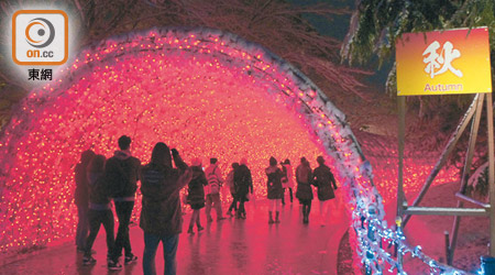 今年全新打造、以秋為主題的光之隧道，可以讓訪客感受到秋葉變化的色調。