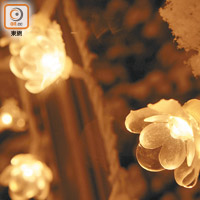 連燈泡也是可愛的花朵形狀，呼應了名花之里這個場地。