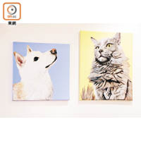 牆上掛了本地畫家繪製的寵物油畫，營造家一樣的溫暖感覺。