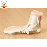 扁平足：較正常的腳掌扁，足弓的弧度太細，走路時，難以吸收地面的震盪力，着涼鞋時，需要有獨特的鞋墊配備，以紓緩足部壓力。