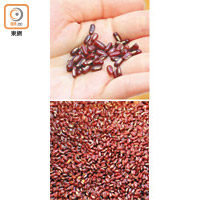 呈深紅色的赤小豆比較扁長和細小，口感偏硬。