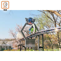 首爾樂園內你可騎着有軌單車看櫻花。